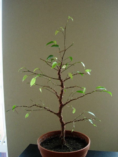 czerwiec 2005
<br />tyÂł