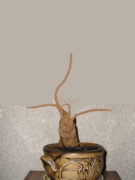 mini-Obraz 008Prop1.JPG