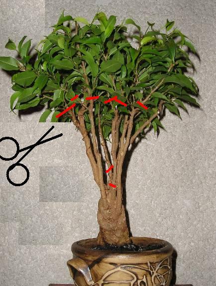 Najpierw musi byĂŚ gorzej , Âżeby potem mogÂło byĂŚ lepiej :D 
<br />
<br />,a ciĂŞciem dzrewku nie zaszkodzisz