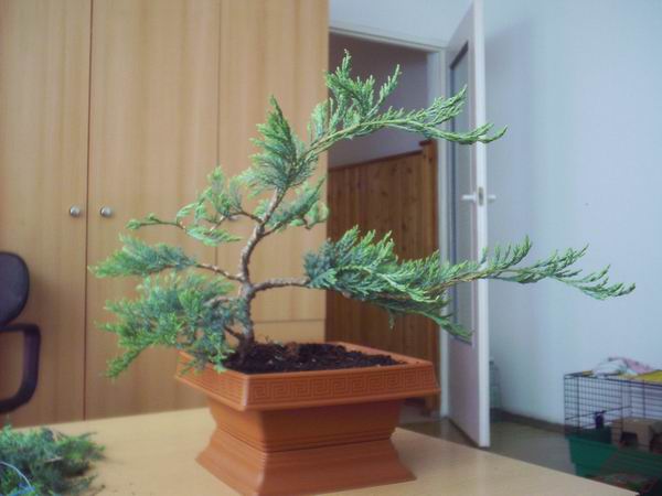 ZdjĂŞcia podczas formowania :)