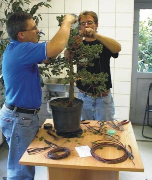 Mozolne drutowanie kaÂżdej gaÂłÂązki...