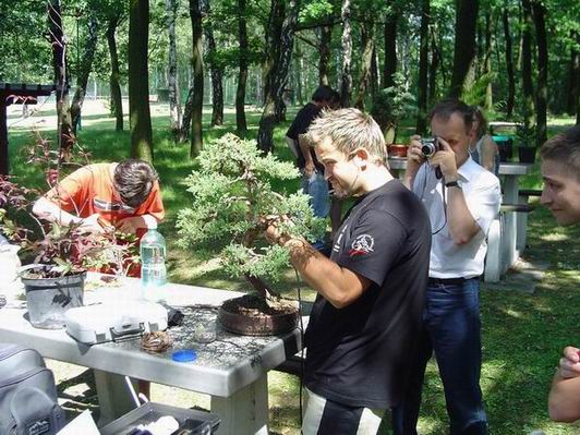 Dentysta-sadysta bormaszynkÂą rzeÂźbi jiny.