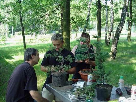 ZapamiĂŞtaĂŚ kaÂżdy ruch...