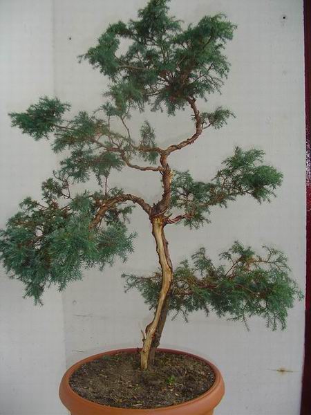 Tak wyglÂądaÂł przed warsztatami...