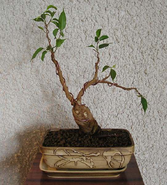 Tak na razie wyglÂąda ostateczna wersja mojej pracy