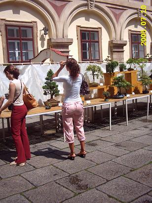 Oczywiscie oko moje i mojego aparatu podziwialo nie tylko piekno sztuki bonsai ;)