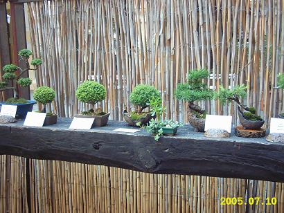 Malutkie malownicze mame