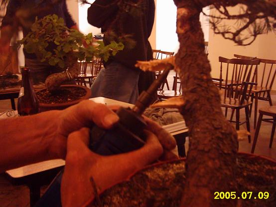 WÂłodek majstruje przy jinach...