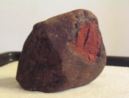 gÂłowa Âświstaka.jpg