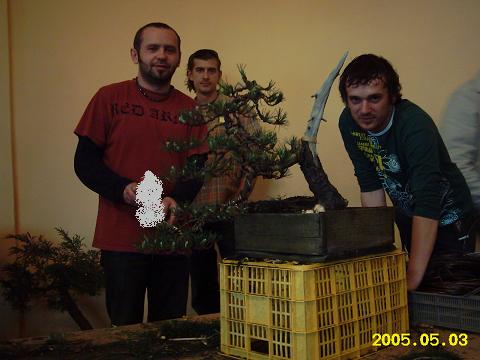 Kto mial okazje byc w ksiazu w ostatni dzien to mogl ogladac dzielo Qciego(po prawej) i Rolqi.