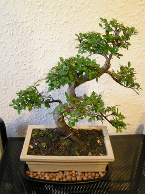 A OTO ZAKUPIONY SKARB