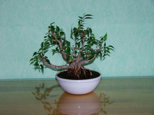 natasha z drugiej strony, wiosna tego roku po cieciu