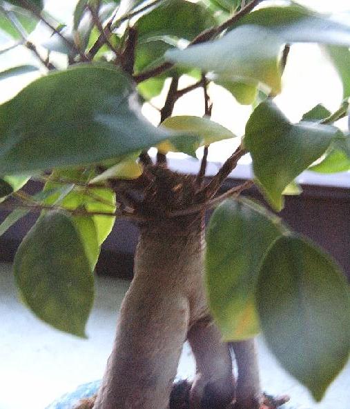 Sory za jakoÂśĂŚ