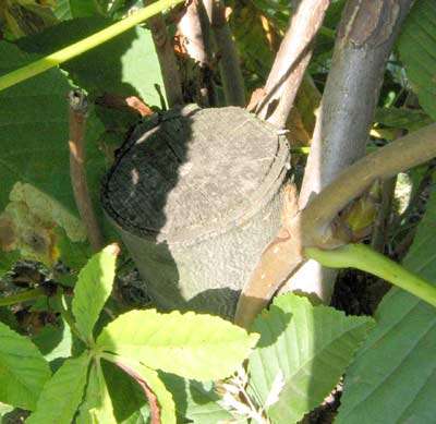 Miejsce ciĂŞcia pierwszego