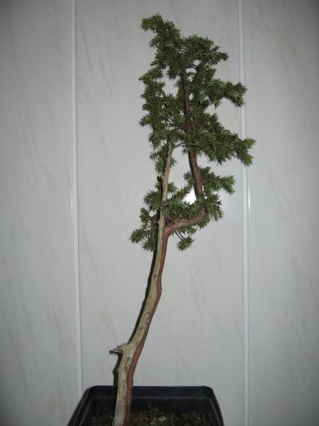 Reszta zdjÂątek po delikatnych zabiegach.