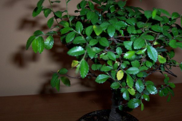 Obraz 034_600x399.jpg