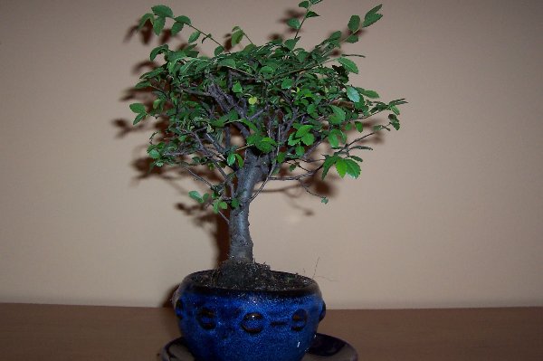 Obraz 032_600x399.jpg