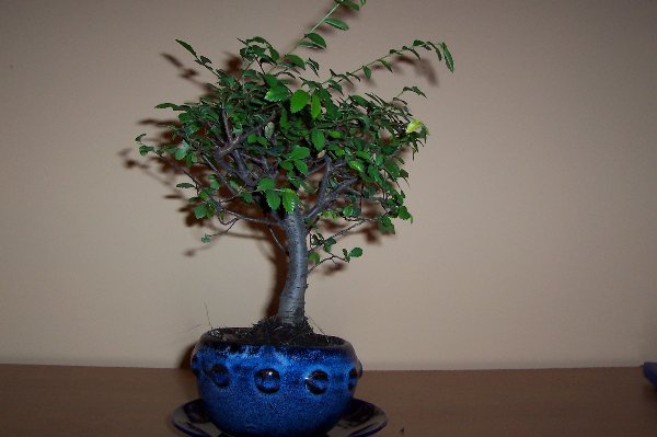 Obraz 030_600x399.jpg