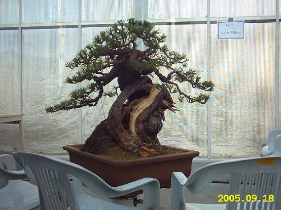 NoÂł koment zapiera dech i klawisze w klawiaturze