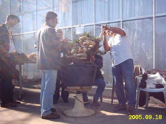 Salvatore Liporace majstersztyk najwyzszego stopnia na rowni z Kevinem ale Kev mial duzo lepszejszy material :)