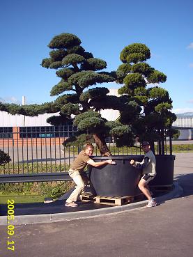 a kfiatusek dla mamusi musi byc :P