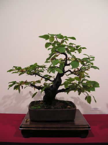 Rotation of P1012300.JPG