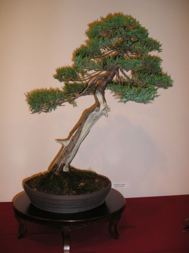 Rotation of P1012295.JPG