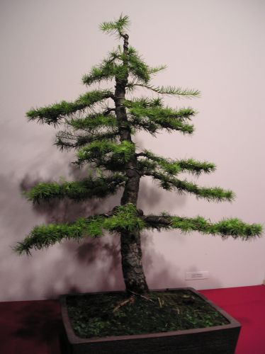 Rotation of P1012292.JPG