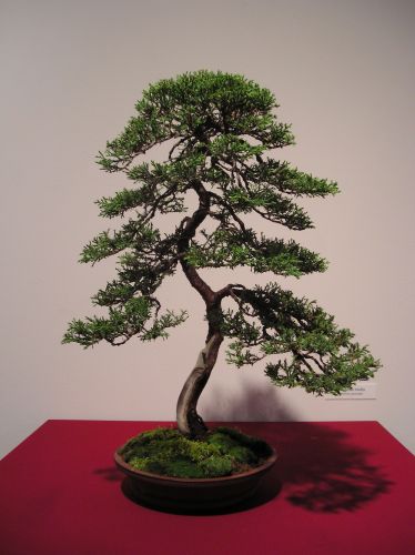 Rotation of P1012326.JPG