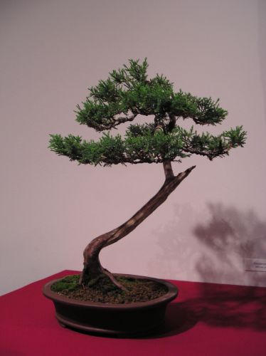 Rotation of P1012309.JPG