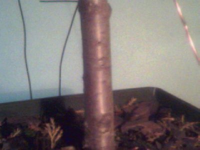 MoÂże tego nie widaĂŚ na zdjĂŞciu, ale pieĂą ma ciekawÂą fakturĂŞ...