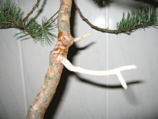 Jiny. Nad tym dÂłuÂższym muszĂŞ trochĂŞ popracowaĂŚ. Na pewno go trochĂŞ skrĂłcĂŞ.