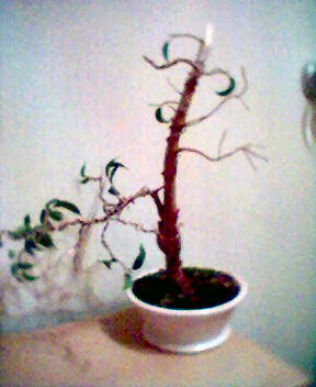 Tak wyglÂąda dziÂś.