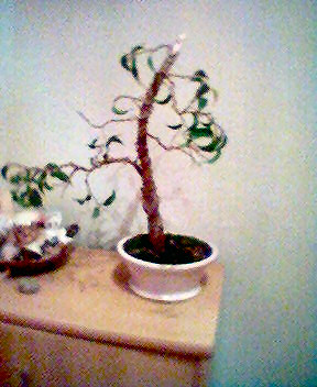 Tak wyglÂądaÂł jeszcze wczoraj.