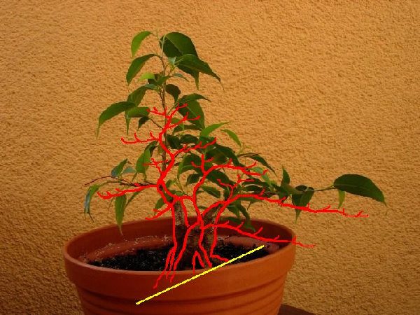 sierpieĂą 2005 - virtual