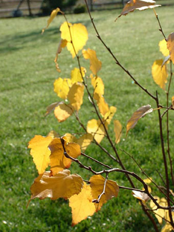 23 paÂżdziernika 2005