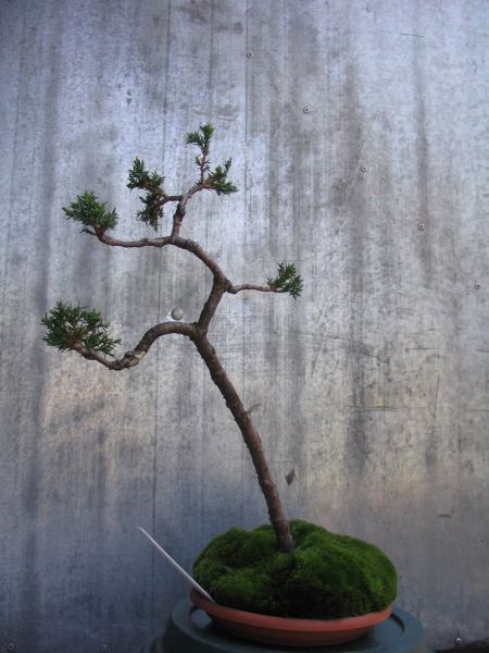 moÂże ta strona przednia ??