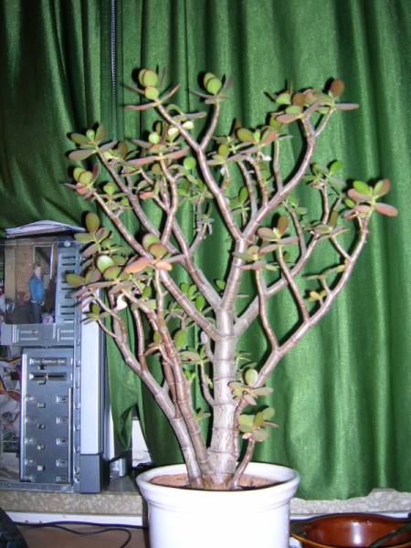 i z jeszcze jednej stronki