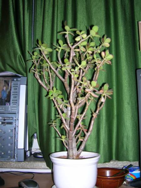 widok z innej strony