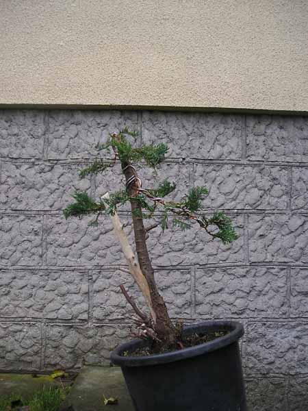 Ostateczny pomysÂł na formĂŞ