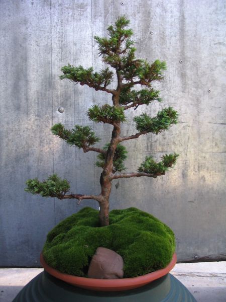 OczywiÂście teraz kilka lat by zagĂŞÂściĂŚ partie zielone i dopracowaĂŚ styl.