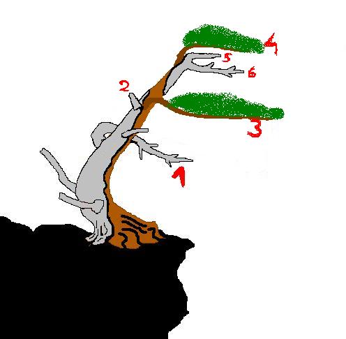 smagane wiatrem1.JPG