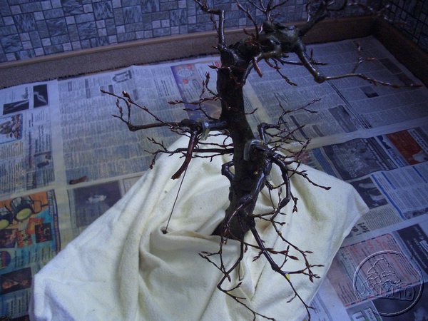 inne drzewko zaraz po oprysku