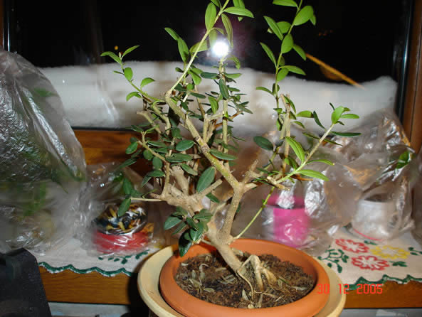 No, to jest ta strona, ktĂłra najbardziej mnie interesuje. Jak jÂą prowadziĂŚ? Czy tak jak mĂłj wirtual powyÂżej?