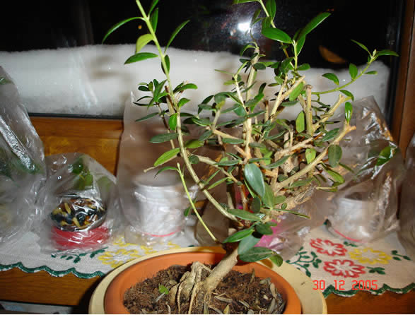 Widok z 3 strony. Troche mioteÂłkowato to wyglÂąda, ale z tej strony mnie on nie interesuje.