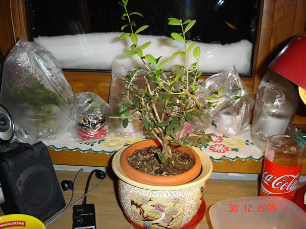 ZdjĂŞcie "z tyÂłu". Najmniej ciekawa strona, ale dodajĂŞ zdjĂŞcie.