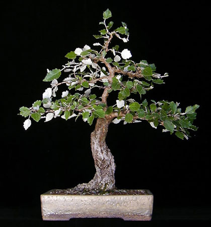 Z kolekcji Wolfganga Putza