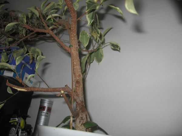 Macie jakieÂś propozycje?