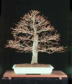 Tak wygÂłÂąda po 6 latach