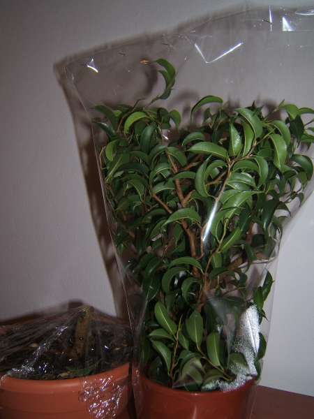 wyglÂąda jak krajobraz po bitwie...